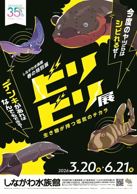 しながわ水族館 春の特別展『ビリビリ展～生き物が持つ電気のチカラ～』