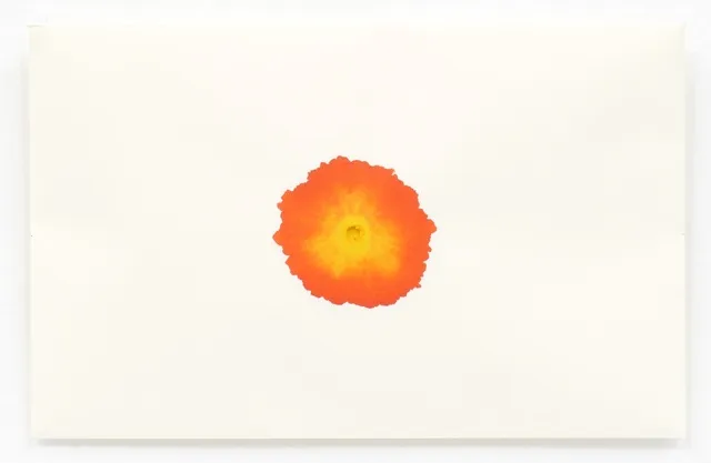 今道由教 個展