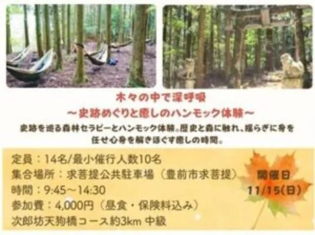 2026秋森林セラピー体験　木々の中で深呼吸～史跡めぐりと癒しのハンモック体験～