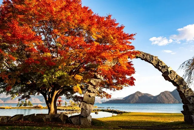 【紅葉・見ごろ】洞爺湖
