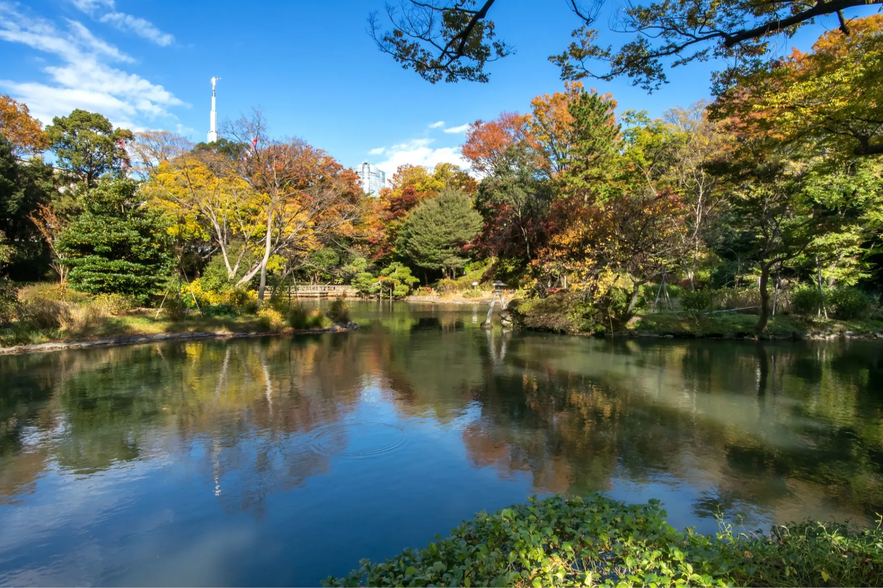 石橋記念公園の紅葉情報_1