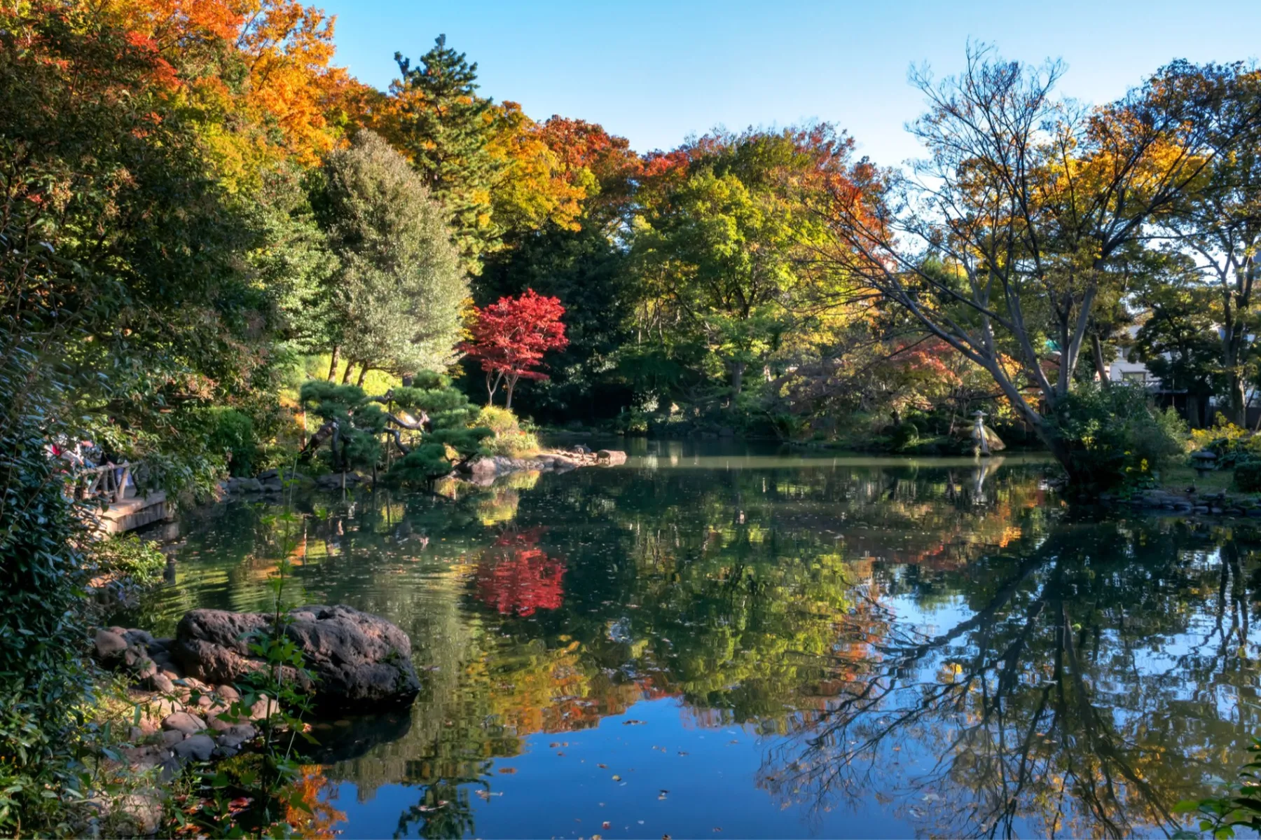 石橋記念公園の紅葉情報_2