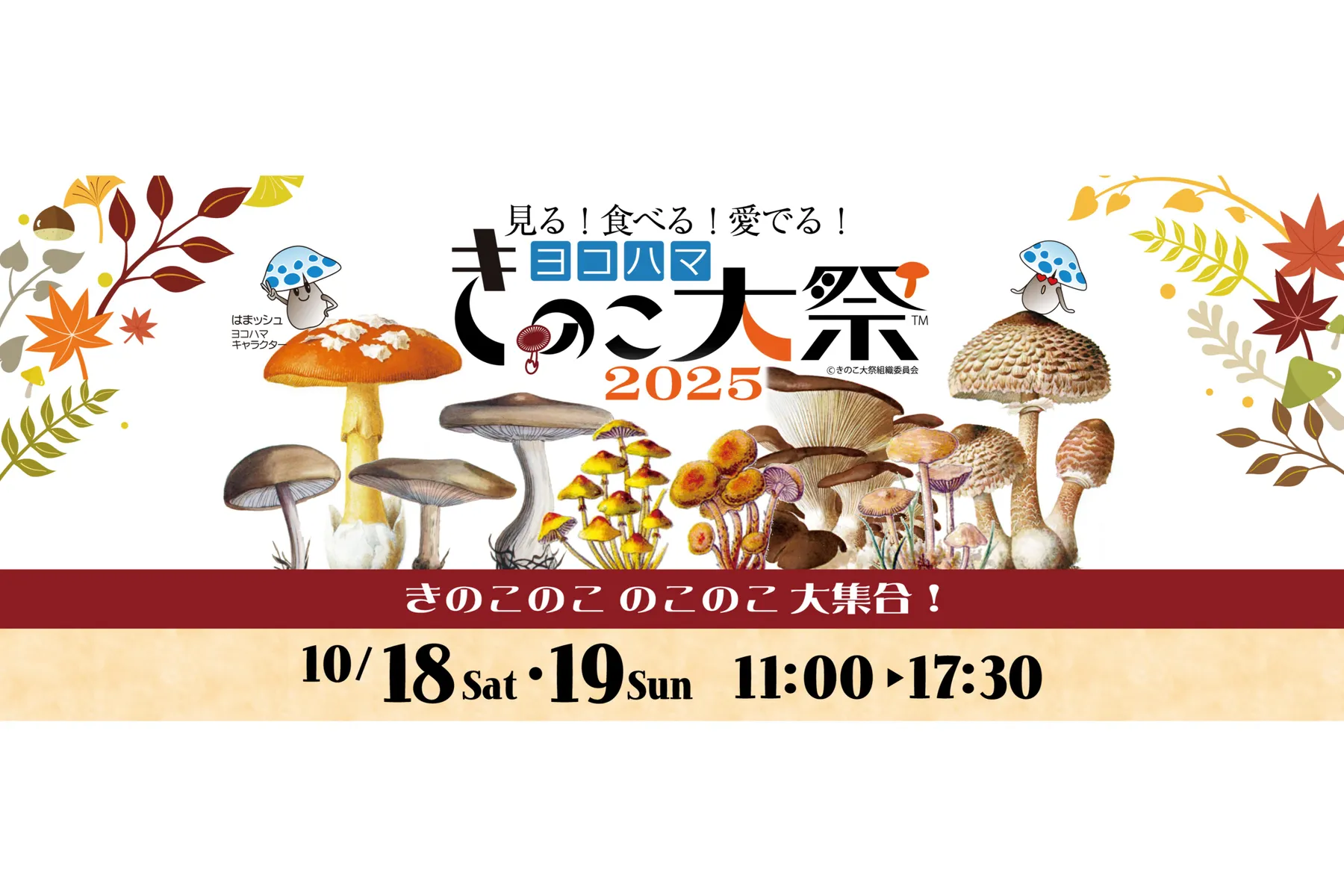ヨコハマきのこ大祭2025_1