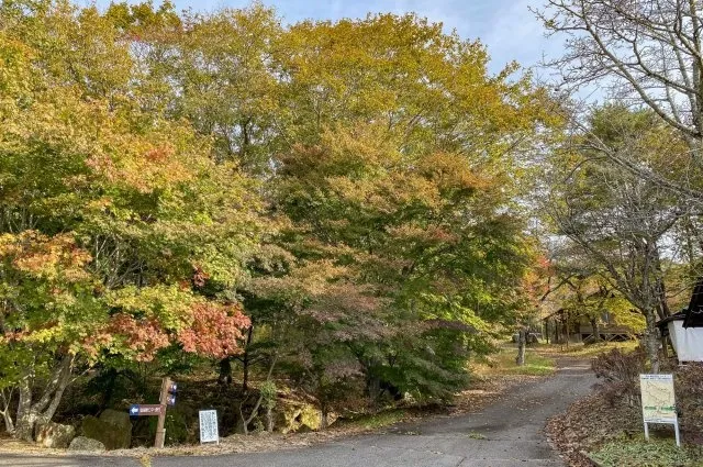 【紅葉・見ごろ】いわきの里鬼ヶ城