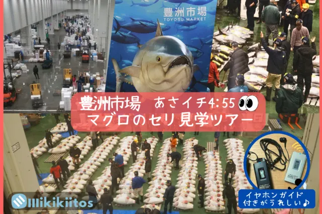 豊洲市場マグロのセリ見学ツアー 朝イチ0455（3月）