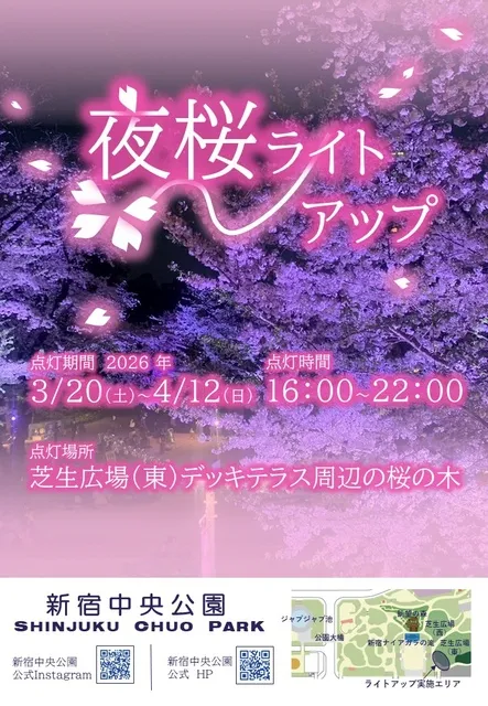 新宿中央公園　夜桜ライトアップ
