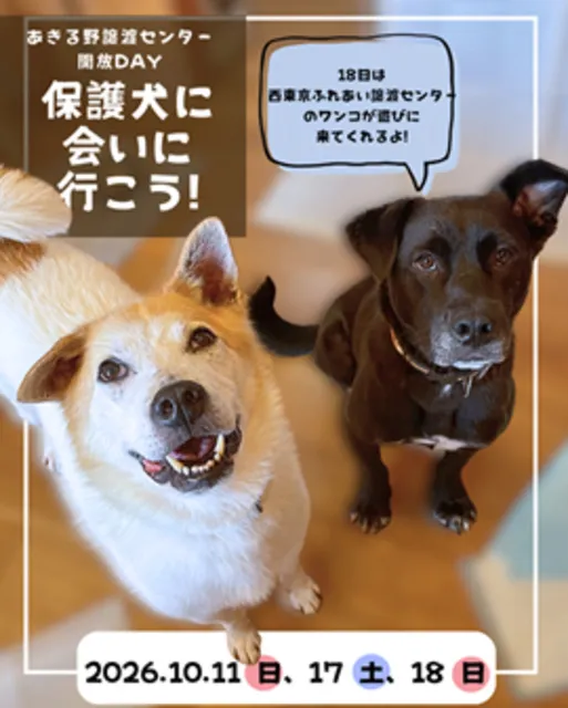 保護犬に会いに行こう！