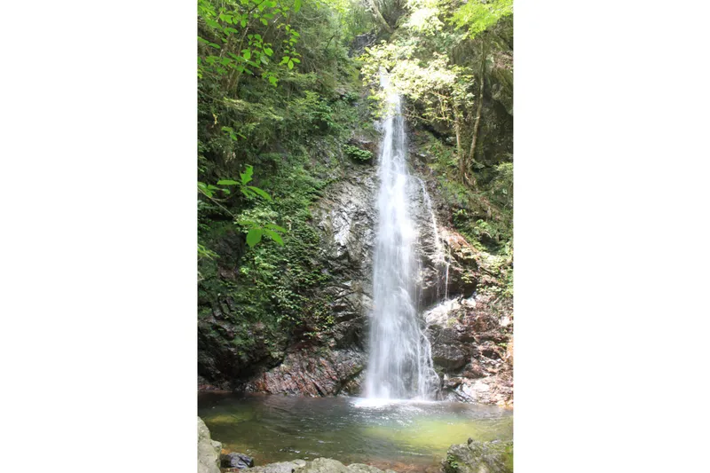 第38回払沢の滝ふるさと夏まつり_4