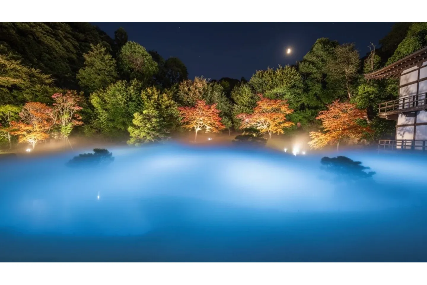 ZEN NIGHT WALK KAMAKURA_2