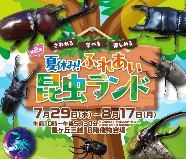 第2回 夏休み！ふれあい昆虫ランド