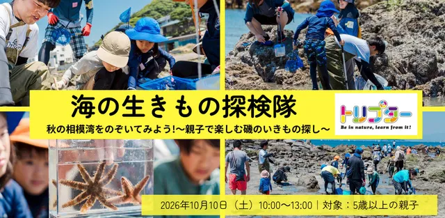 海のいきもの探検隊「秋の相模湾をのぞいてみよう！～親子で楽しむ磯のいきもの探し～」