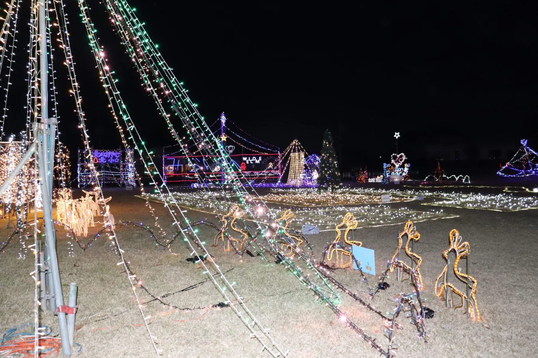 イルミネーションフェスタ2025_1