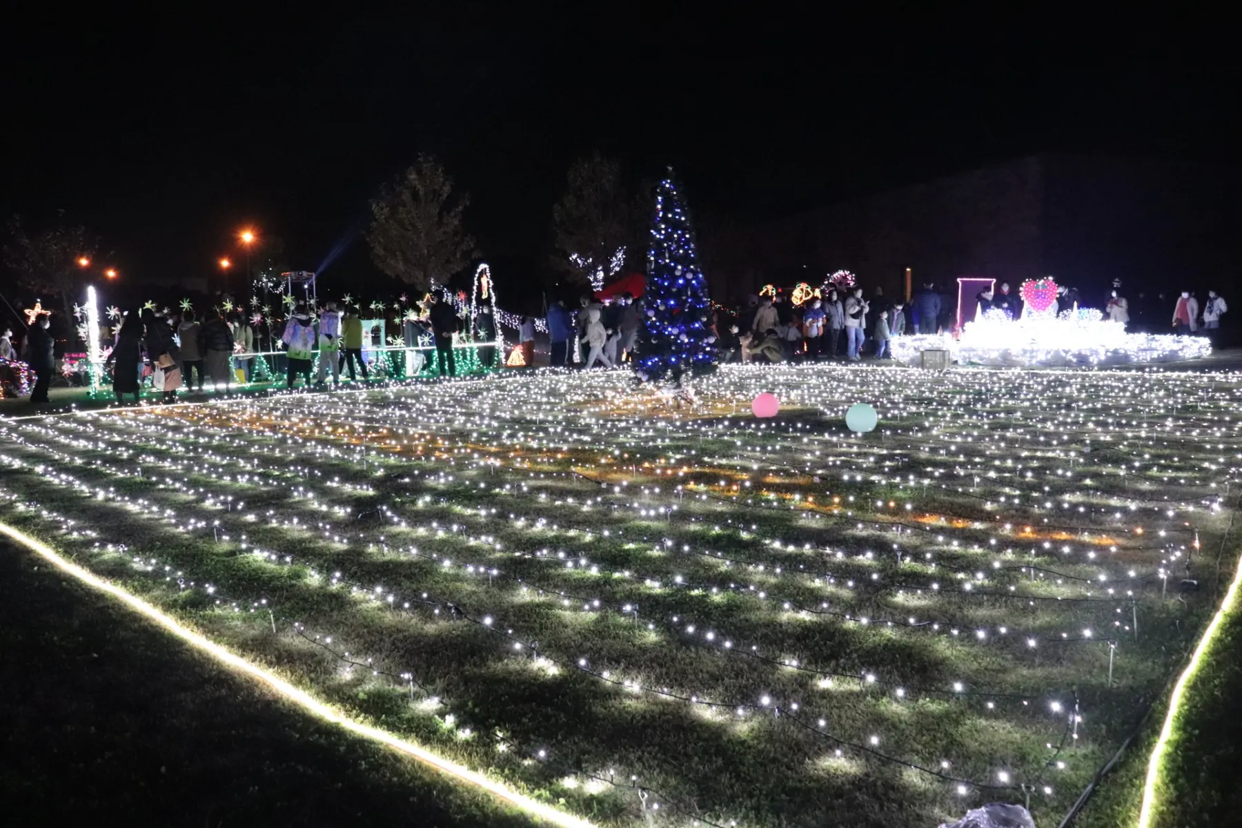 イルミネーションフェスタ2025_2