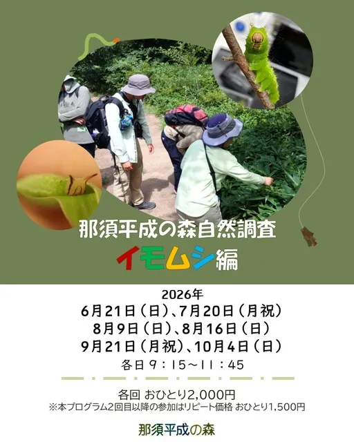 那須平成の森自然調査 ～イモムシ編～