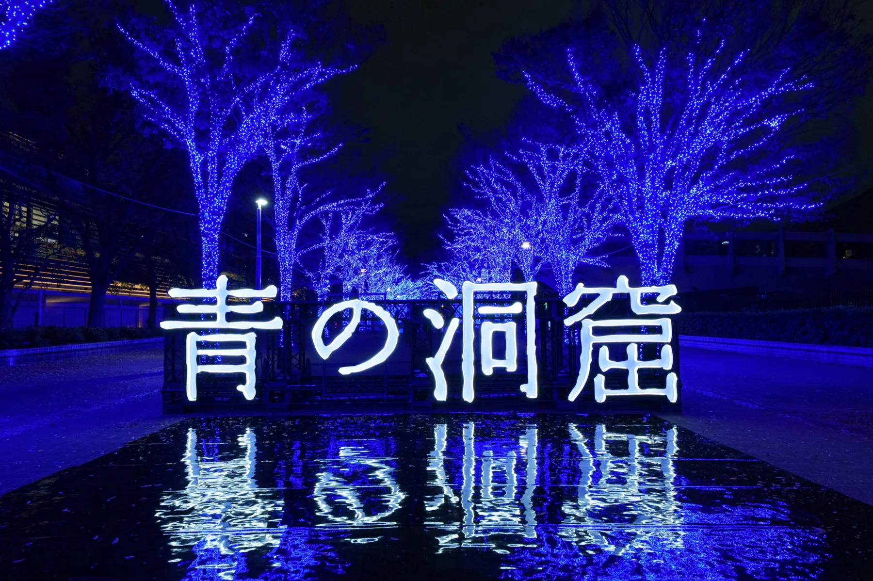 青の洞窟 SHIBUYA_16