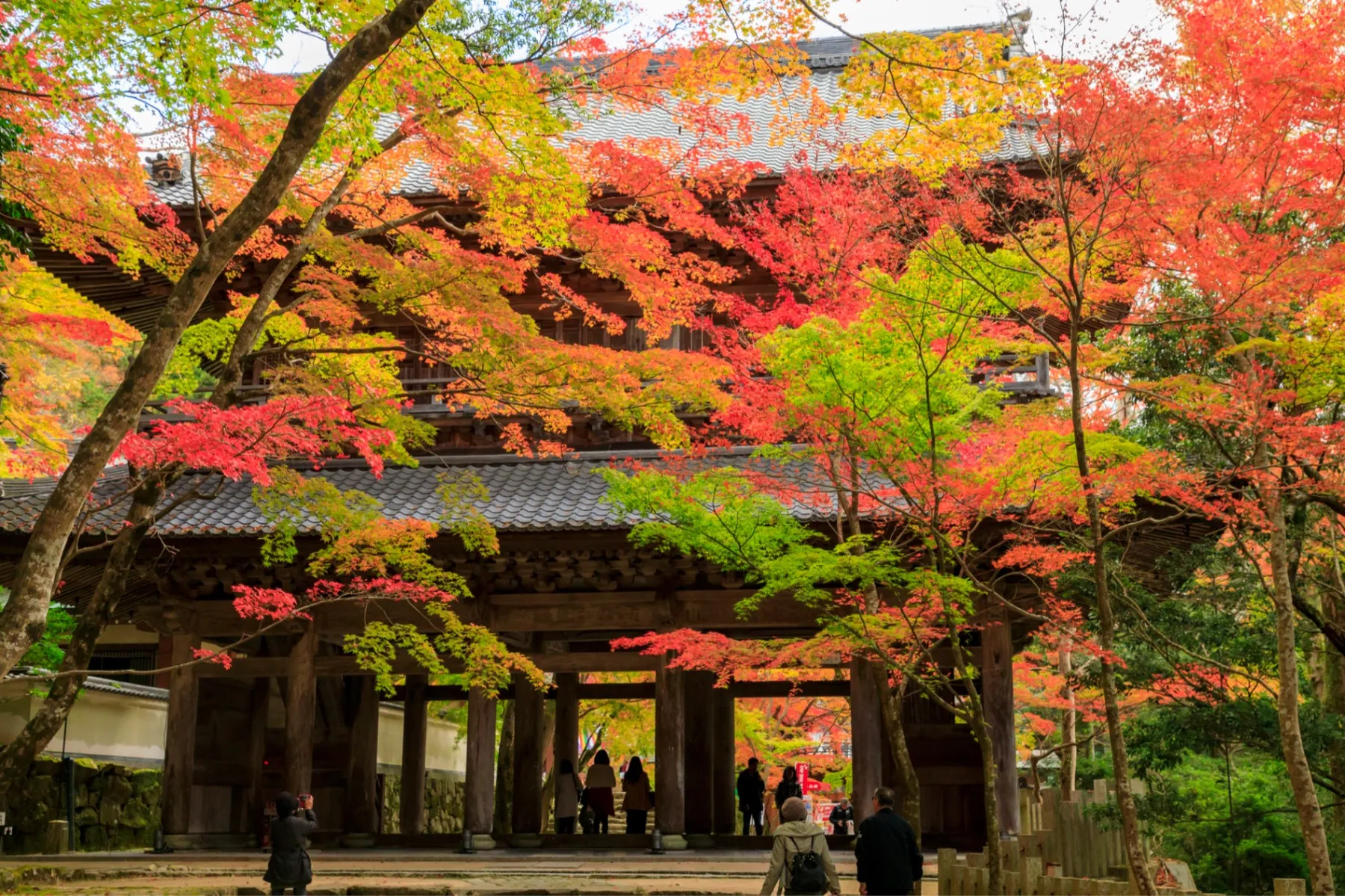 永源寺の紅葉情報_1