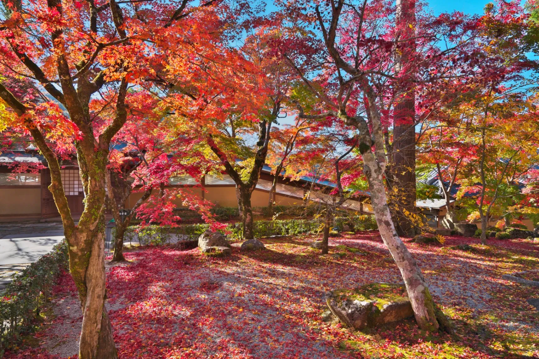 永源寺の紅葉情報_2