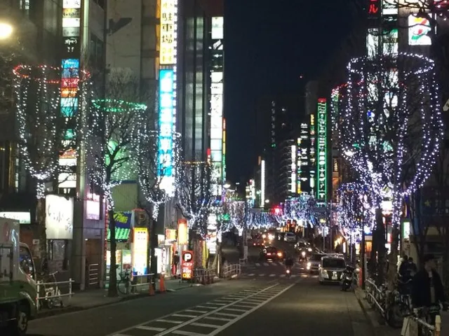 新宿歌舞伎町区役所通りイルミネーション