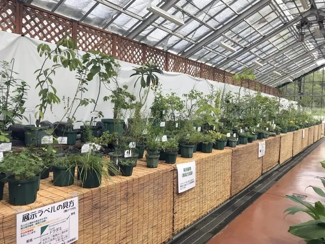 秋の薬用植物とハーブ展解説