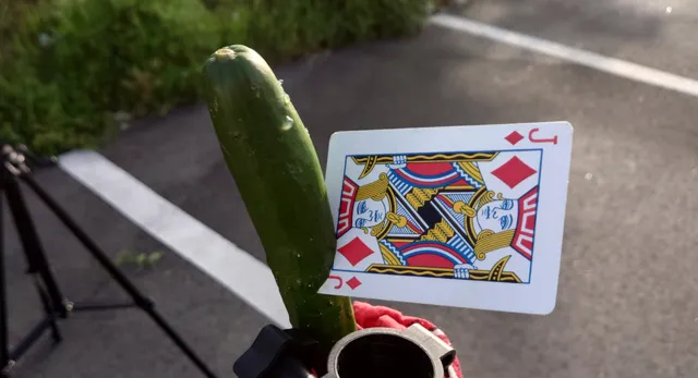 春季特別企画「薩摩忍者ミニ講習」「室内手裏剣術ミニ講習」2026