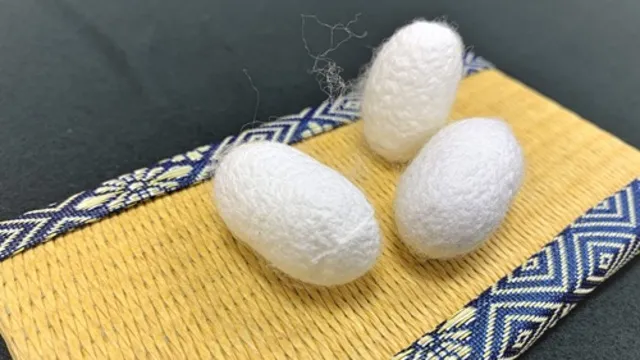 わくわく科学工作「カイコのまゆがコロコロりん」