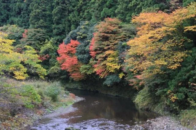 【紅葉・見ごろ】湯川渓谷（さがり滝）