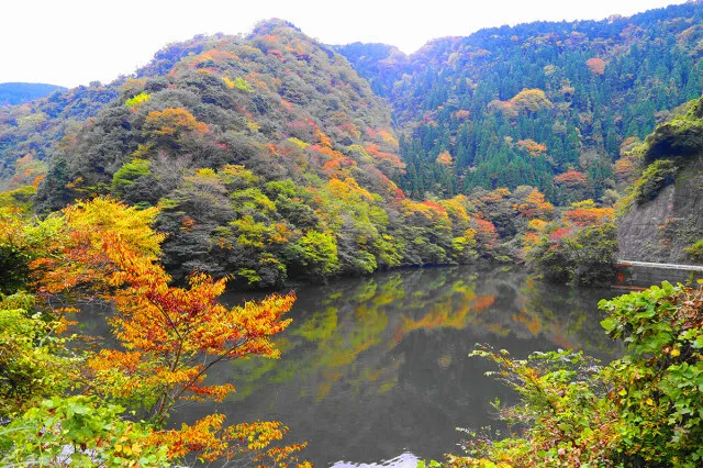 【紅葉・見ごろ】長見ダム