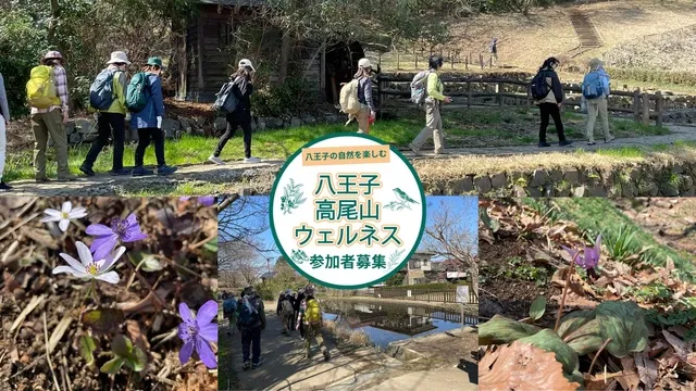 自然観察会「春を探そう～片倉城跡公園～」
