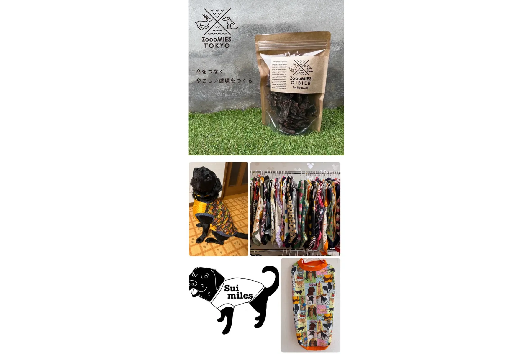 DOG  SPORTS FESTIVAL Supported by PS保険（わんスポ）_18