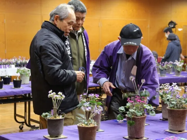 雪割草展示即売会2026