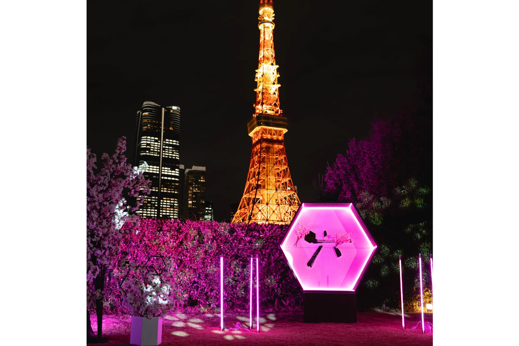 The TOWER BAR –Spring–_9