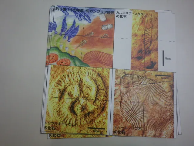 子ども地学教室「ぱたぱたパズルづくり・先カンブリア時代からカンブリア紀への生物進化」