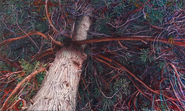 水野 暁　視覚の層 | 絵画の層