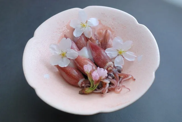 第28回浜坂みなとほたるいか祭り＆地えび