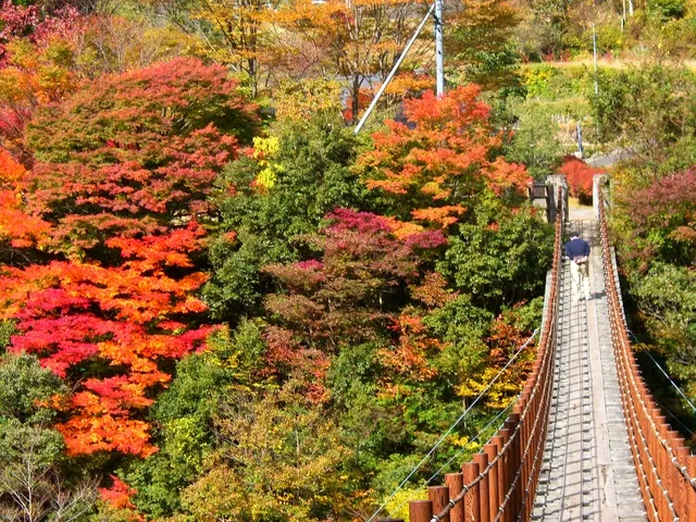 泉・五家荘紅葉シーズン