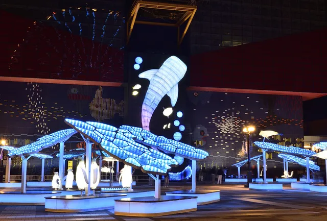 海遊館イルミネーション2025