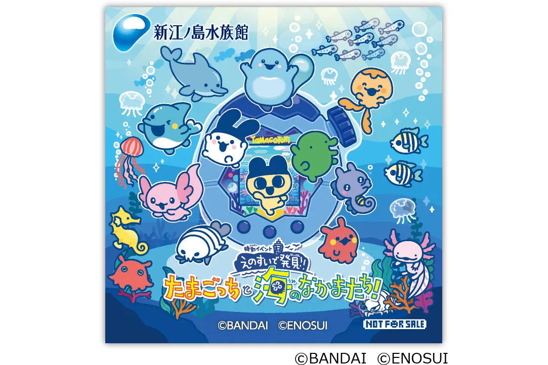 特別イベント『えのすいで発見!!たまごっちと海のなかまたち!』_11