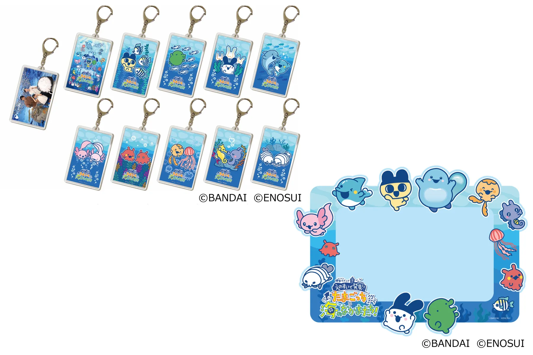 特別イベント『えのすいで発見!!たまごっちと海のなかまたち!』_15