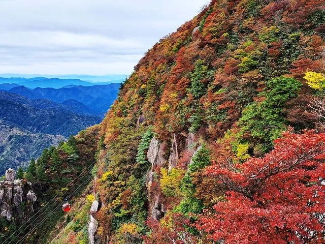【紅葉・見ごろ】御在所岳