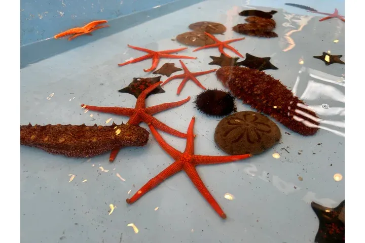 ウォーターフェス2025_6