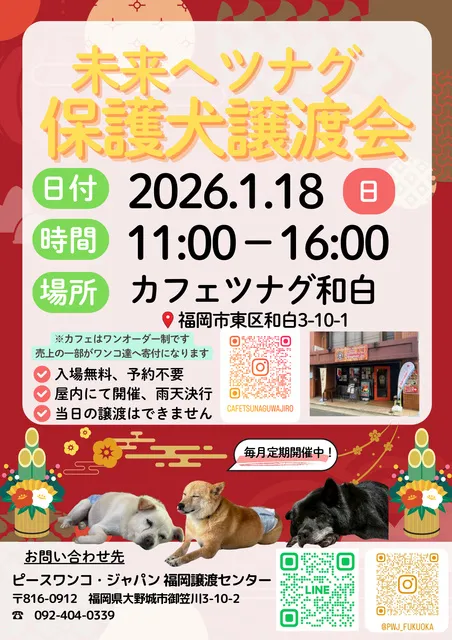 保護犬カフェDay＠カフェツナグ和白