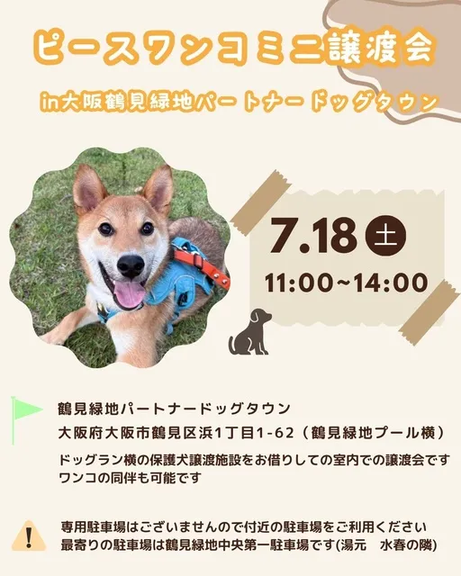 ミニ譲渡会in大阪鶴見緑地パートナードッグタウン