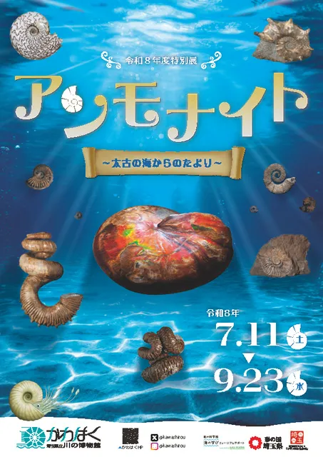 特別展「アンモナイト～太古の海からのたより～」＜中止となりました＞_1