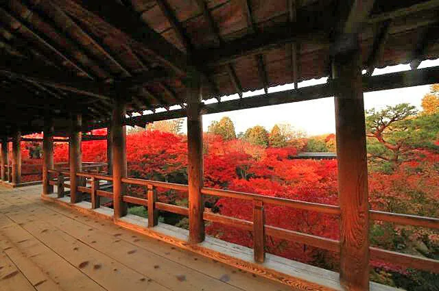 東福寺　夜間拝観