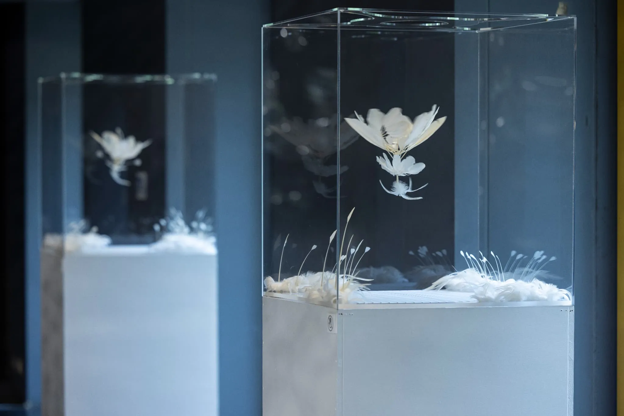SHIBUYA SKY EXHIBITION Vol.9 KOSEI KOMATSU Touching the sky｜空に