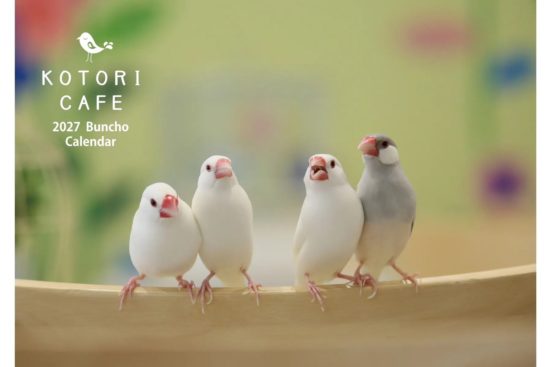 第8回「新宿文鳥博」_2