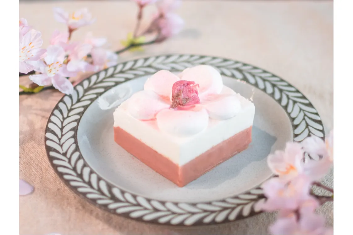 桜スイーツ専門店「ナナシノ桜菓子店」_2