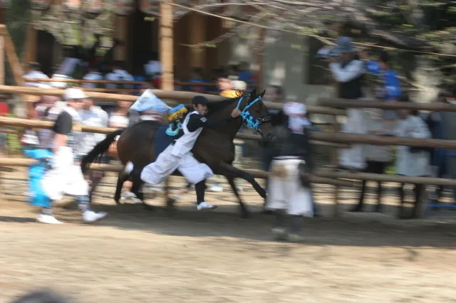西尾の秋まつり おまんと祭