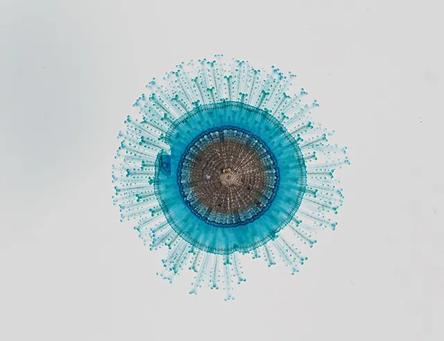 科学バー・寄生虫編Vol.10