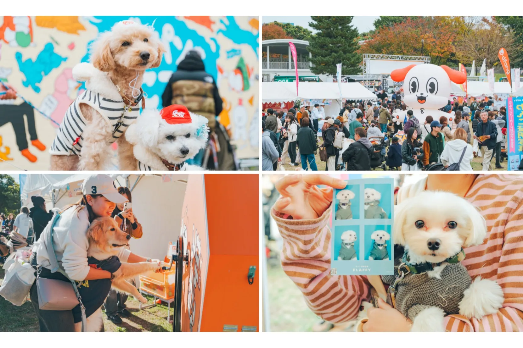 ジャパンわんこエキスポ in 駒沢公園